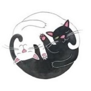 Meet your Posher, Tamara